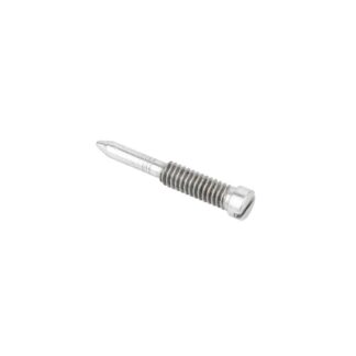 Triumph Rear Chain Oiler Screw 57 0496, T496