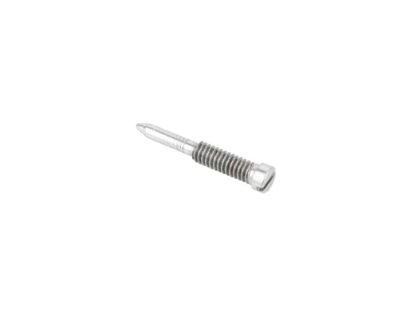 Triumph Rear Chain Oiler Screw 57 0496, T496