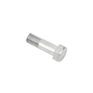 Triumph Rear Sprocket Bolt 21 2010, S2010