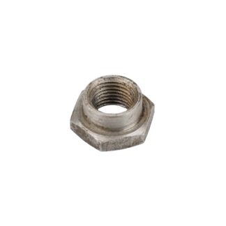 Triumph T100 Rotor Nut 21 1915, S1915