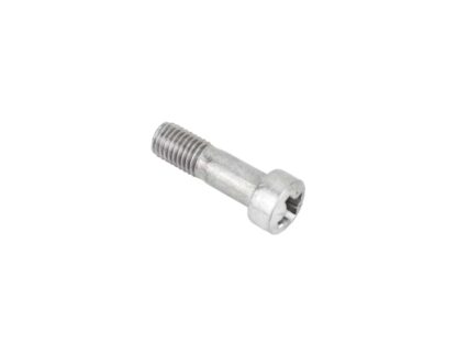 Triumph Clutch Lever Pivot Screw 21 7036