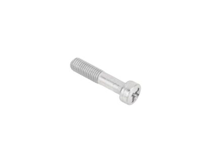 Triumph Front Master Cylinder Lever Screw 21 2191
