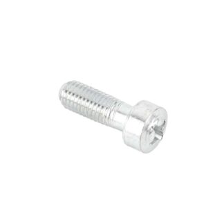 Triumph Primary Cover Screw 70 4806, E4806